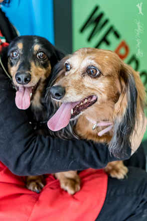 Toby and Chloe