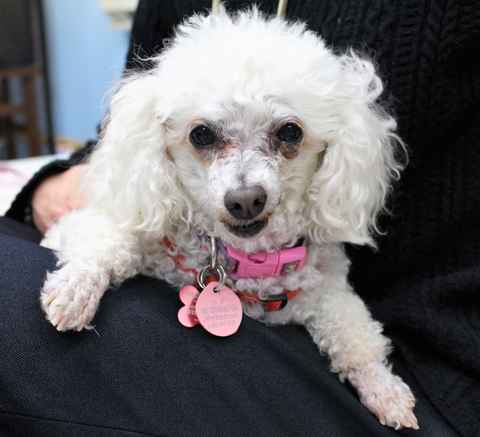 Lola