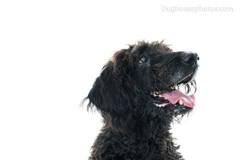 Cooper