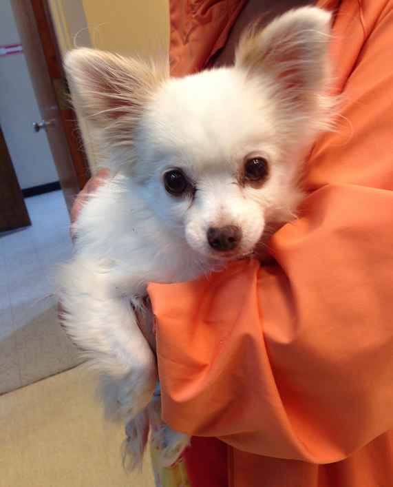 Ethel