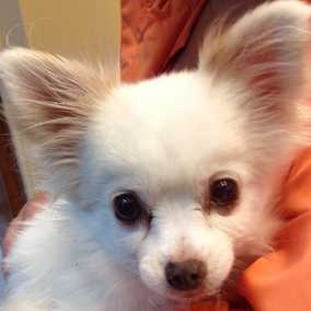 Ethel