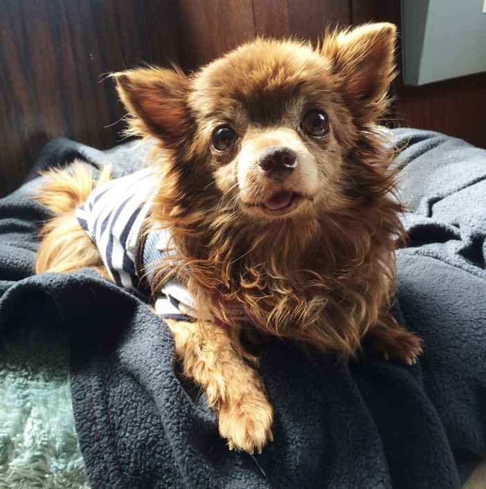 Winifred