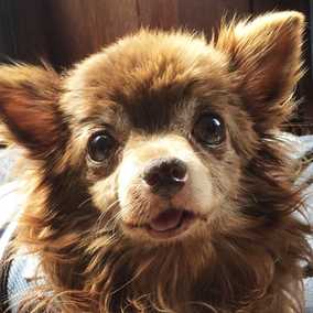 Winifred
