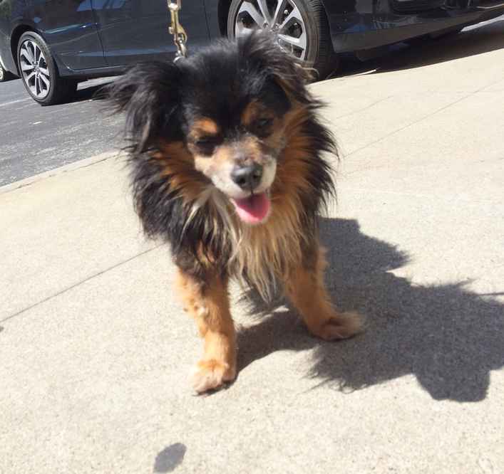 Paolo