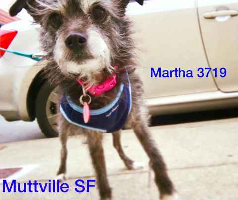 Martha