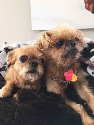 Little Bit and Abby