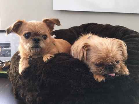 Little Bit and Abby