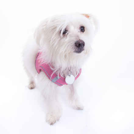Esther
