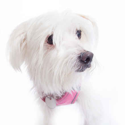 Esther