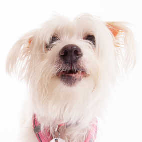 Esther