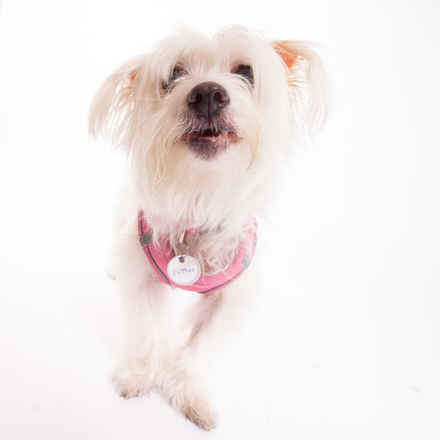 Esther