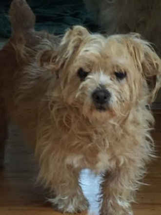Dudley