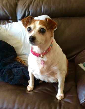 Darla