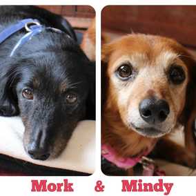 Mork and Mindy