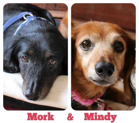Mork and Mindy