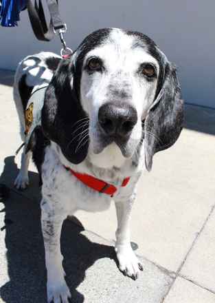Buster
