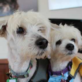 Amelie & Blarney