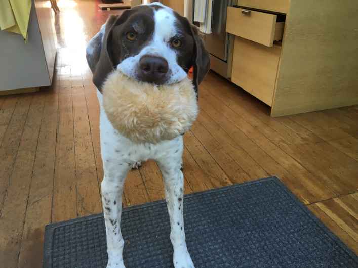 Oscar