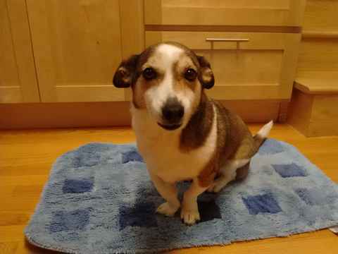 Charlie