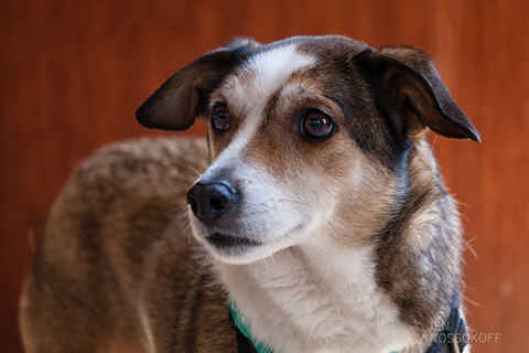 Charlie