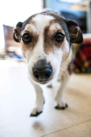 Charlie