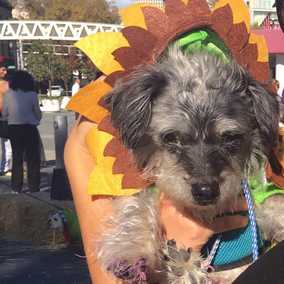 Caroline