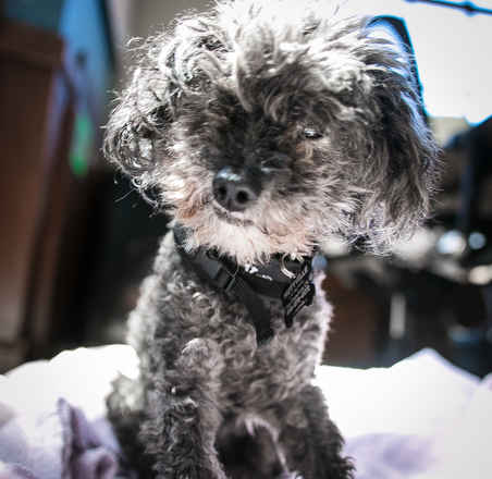 Licorice