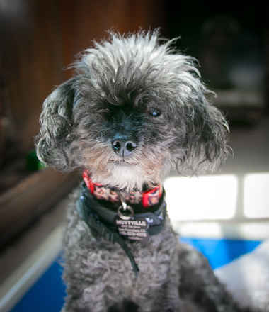 Licorice