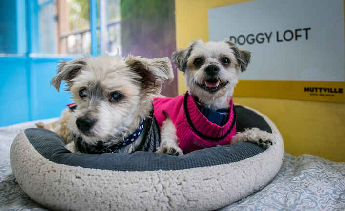 Maggie and Murphy
