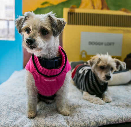Maggie and Murphy