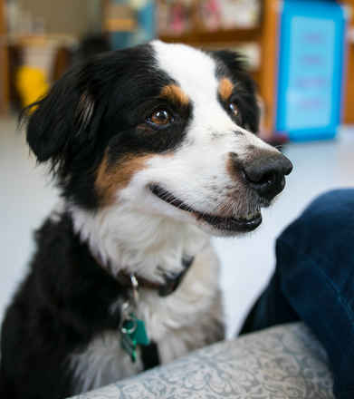 Cooper