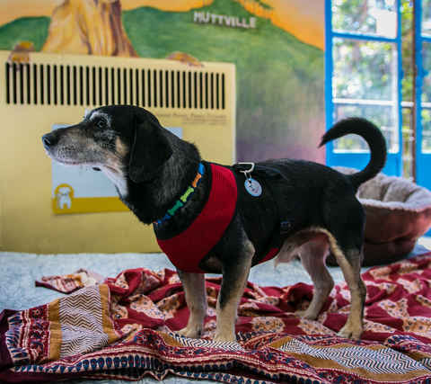 Artie