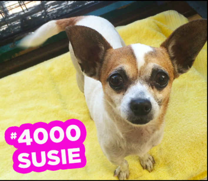 Susie