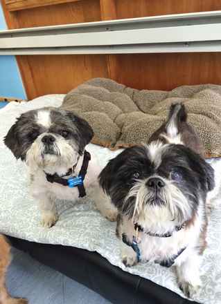 Bobby and Larry