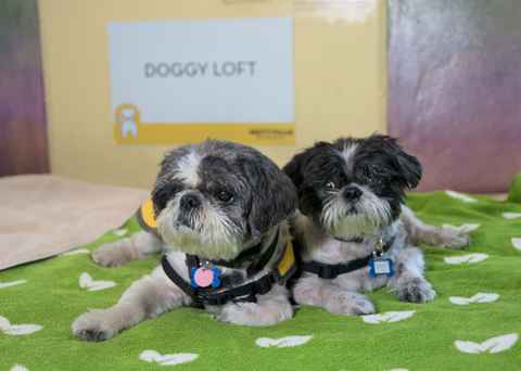 Bobby and Larry