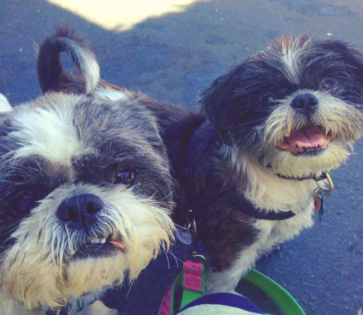 Bobby and Larry