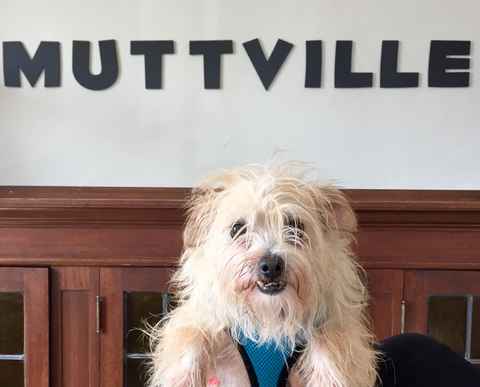 McNulty