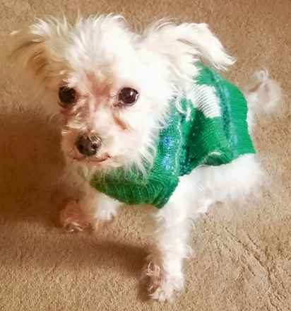 Millie