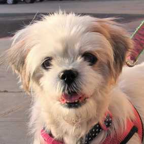 Marnie
