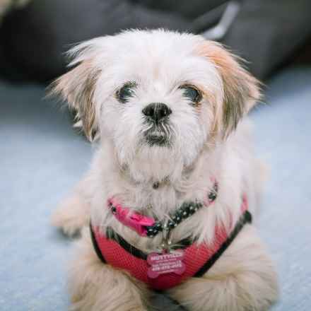 Marnie