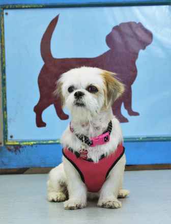 Marnie