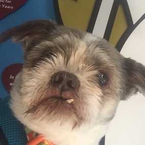 Bubba