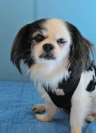 Chuck