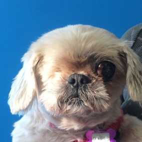 Molly