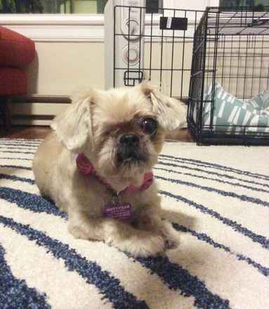 Molly