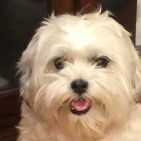 Precious