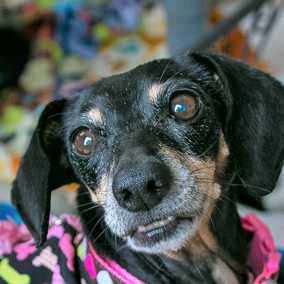 Frannie