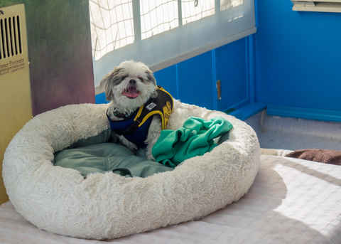 Dudley