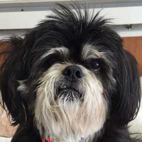 Corky
