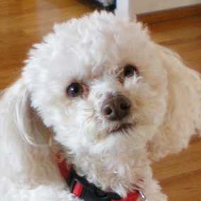 Trudy